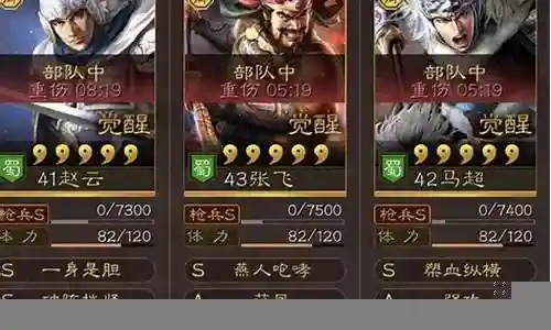 赵云张飞许攸阵容搭配插图