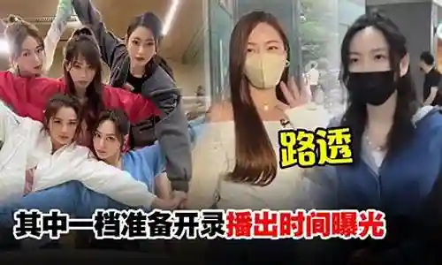 乘风破浪2阵容搭配插图