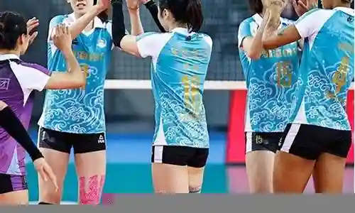 女排四强阵容搭配插图