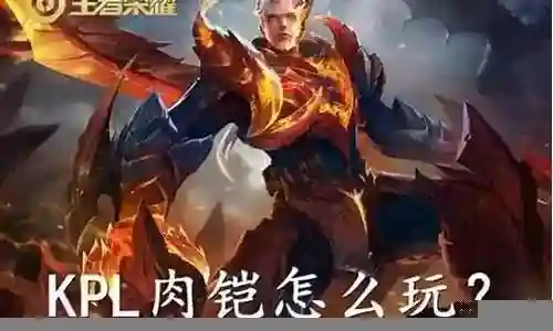 肉铠适合搭配什么阵容插图