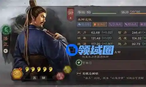 法正的阵容搭配插图