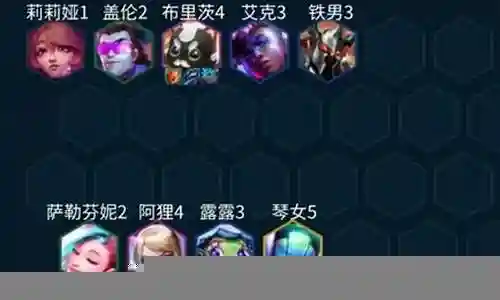 秘术护卫搭配什么阵容插图