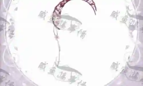 圣洁之冠搭配推荐阵容图插图