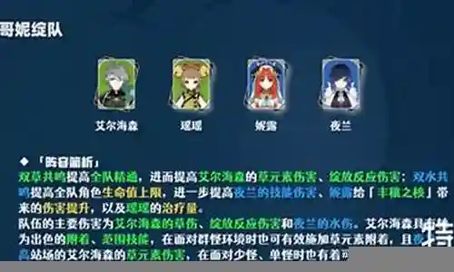 绫华妮露阵容搭配插图