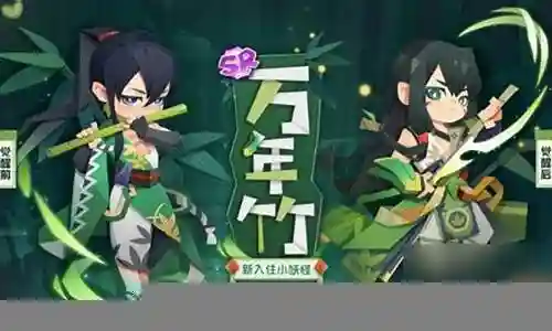 万年竹 搭配阵容插图