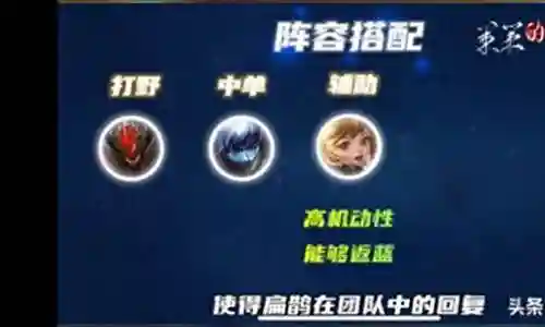 扁鹊打野五排阵容搭配插图