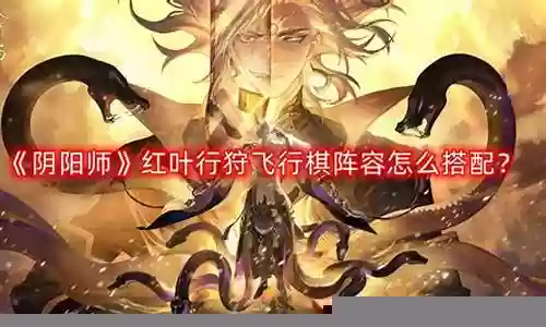 飞行棋阵容插图
