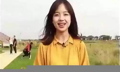 王冰冰队阵容插图