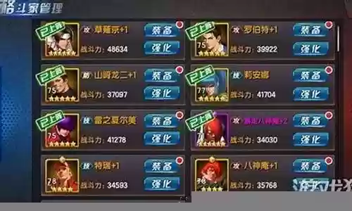 玛丽特瑞阵容插图