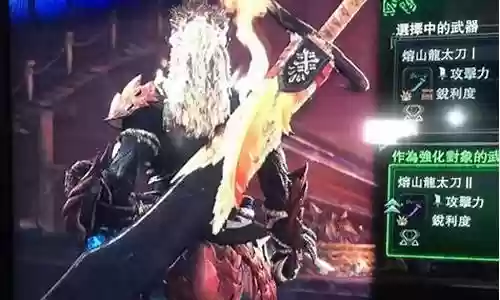 怪物猎人3武器属性选择什么插图