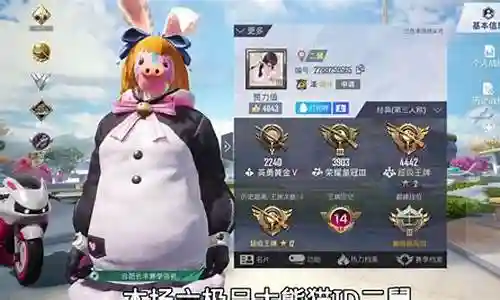 公主队阵容和平精英搭配插图
