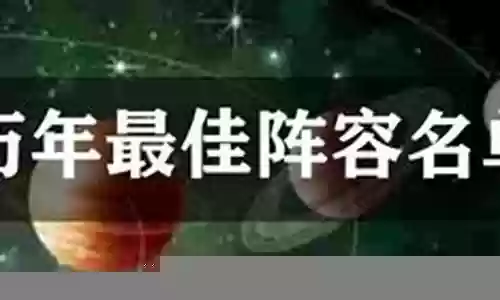 历年最佳阵容插图