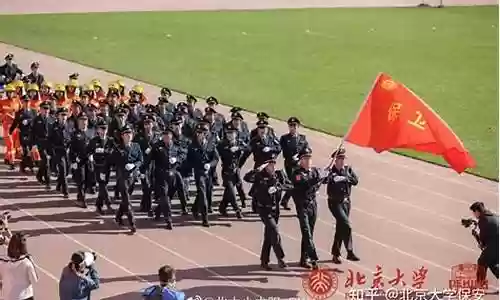 保安队阵容插图