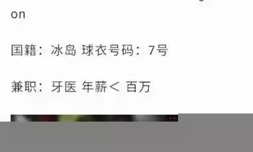 冰岛队奇葩阵容名单插图