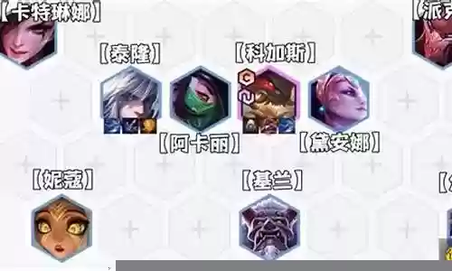 虫胖阵容怎么插图