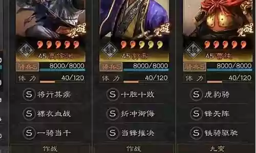 战略战术阵容打法搭配插图