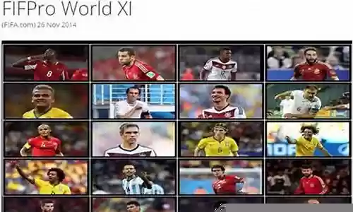 2014世界最佳阵容插图