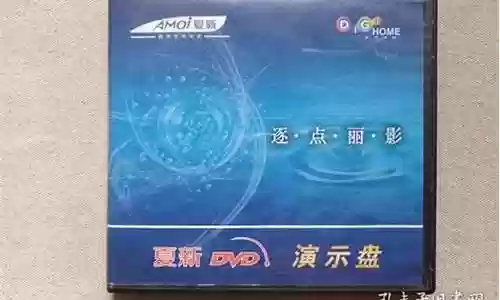2000年厦门夏新阵容插图