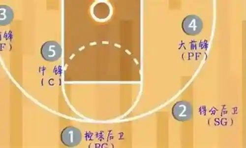 打篮球阵容搭配图表图片插图