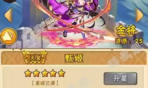 魏国金将甄姬阵容插图
