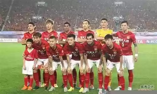 恒大2011阵容插图