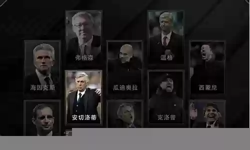 最佳阵容 主教练插图
