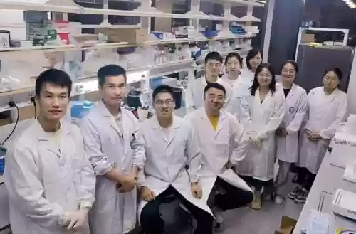 科研阵容插图