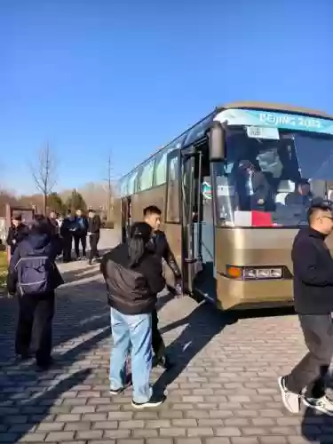 摆大巴阵容插图