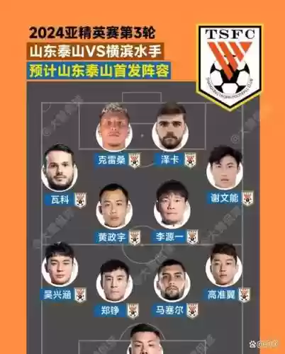 97泰山阵容插图1
