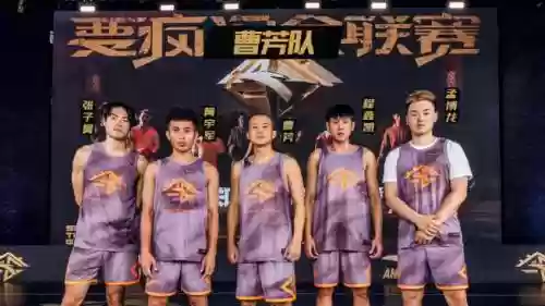 疯人阵容插图1