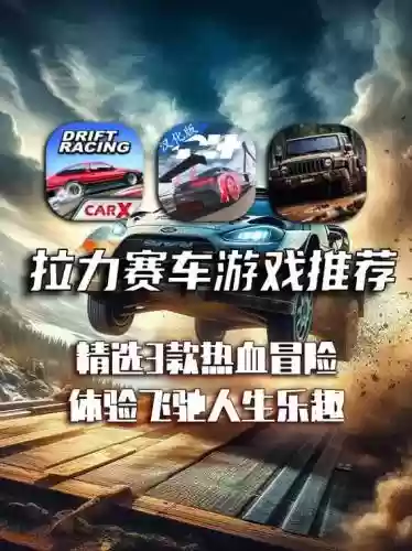 手游拉力赛游戏攻略插图