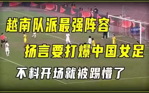 越南奇葩阵容插图1