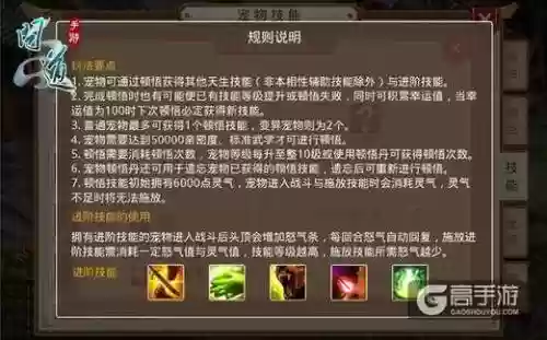 顿悟攻略问道宠物插图1