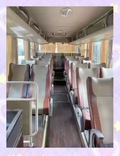 摆大巴阵容插图1