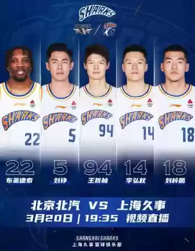 布莱德索阵容插图1