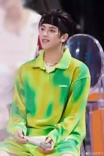 符龙飞阵容插图1