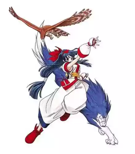 侍魂武器16传承插图1