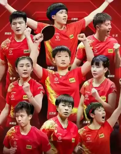 奥运阵容乒乓插图1