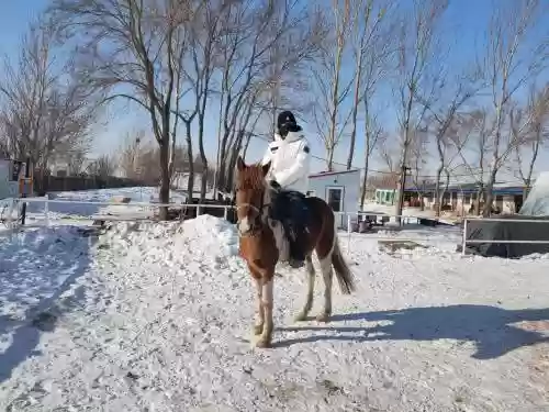 大雪骑马阵容插图1
