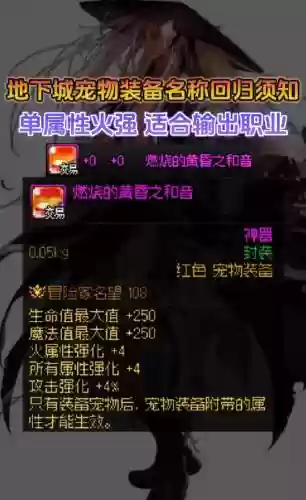 dnf白字宠物装备提升插图