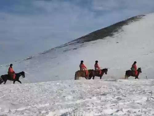 大雪骑马阵容插图