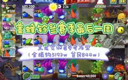 蜜蜂铃兰阵容插图