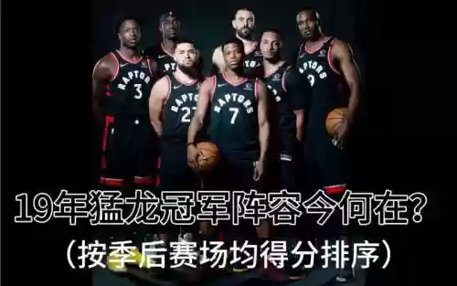 猛龙19阵容插图