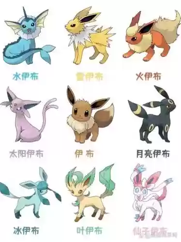 超级神兽阵容_1插图1