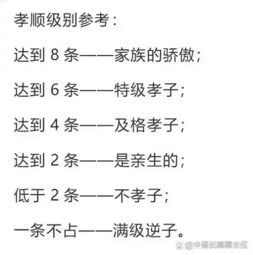 孝子主要阵容插图