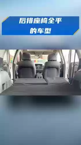 后排很多阵容插图