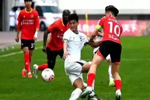 沈阳海狮阵容_1插图1