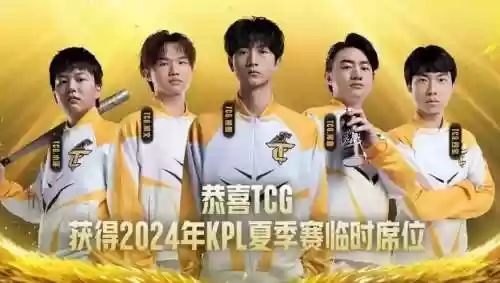 国产tcg阵容插图1