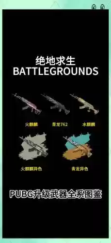 绝地求生自定义怎么设置武器插图1