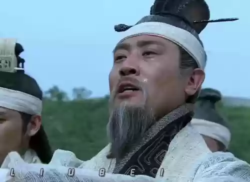 刘备吃阵容插图1